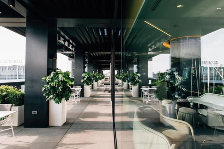 Terrace dining